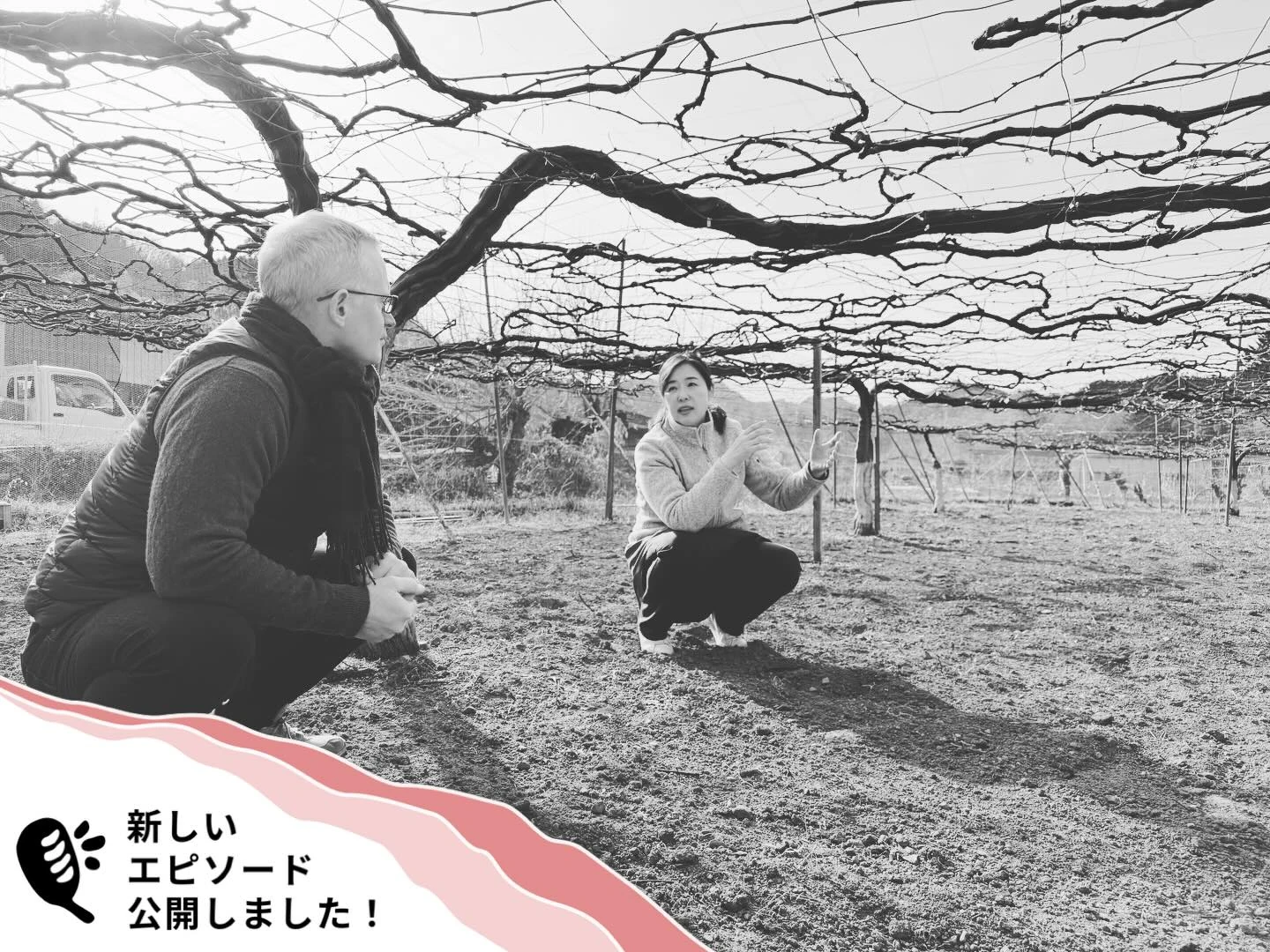 Michiko Murata · Chichibu Wine — 番組のオリジナル画像